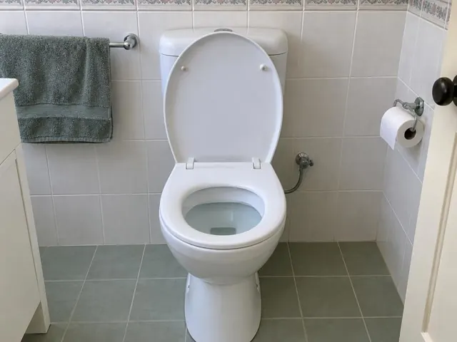 Clean white toilet in a tiled bathroom with a towel rail and toilet paper holder in Beecroft